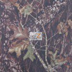 Mossy Oak Breakup Woodland Camouflage Spandex Fabric